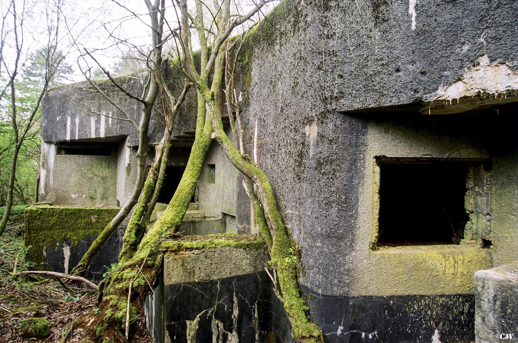 Ligne Maginot - LA HIGNY - (Casemate d'artillerie) - Les embrasures pour canon de 75 mm