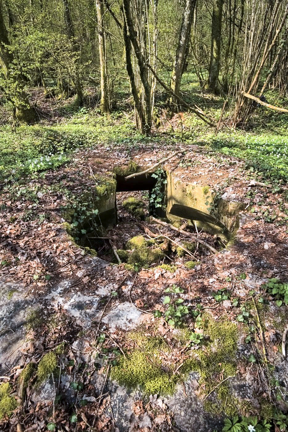 Ligne Maginot - MT8 - (Cuve pour arme d'infanterie) - 
