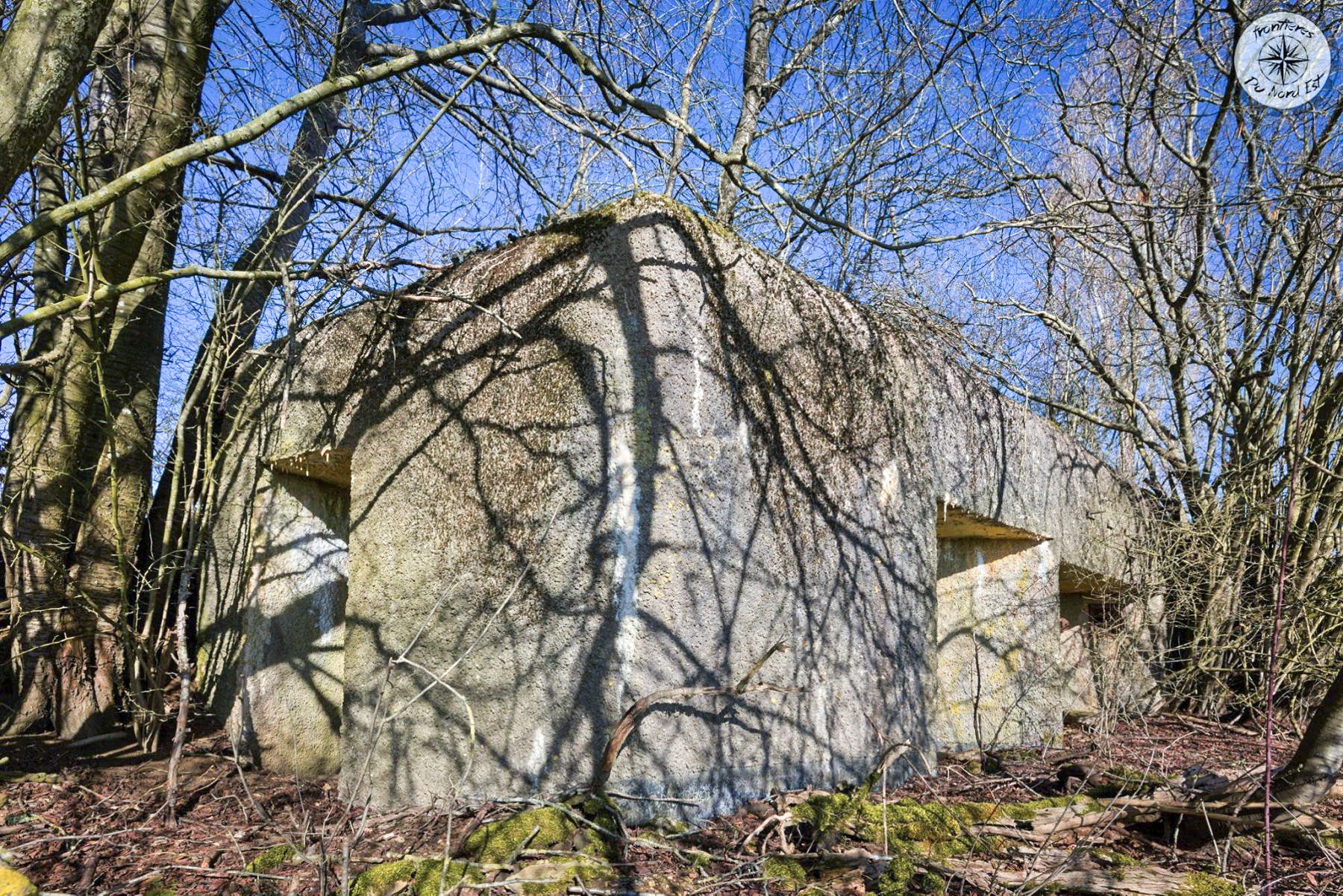 Ligne Maginot - MB8 - PAQUISEL - (Blockhaus pour canon) -  - Thierry Caland