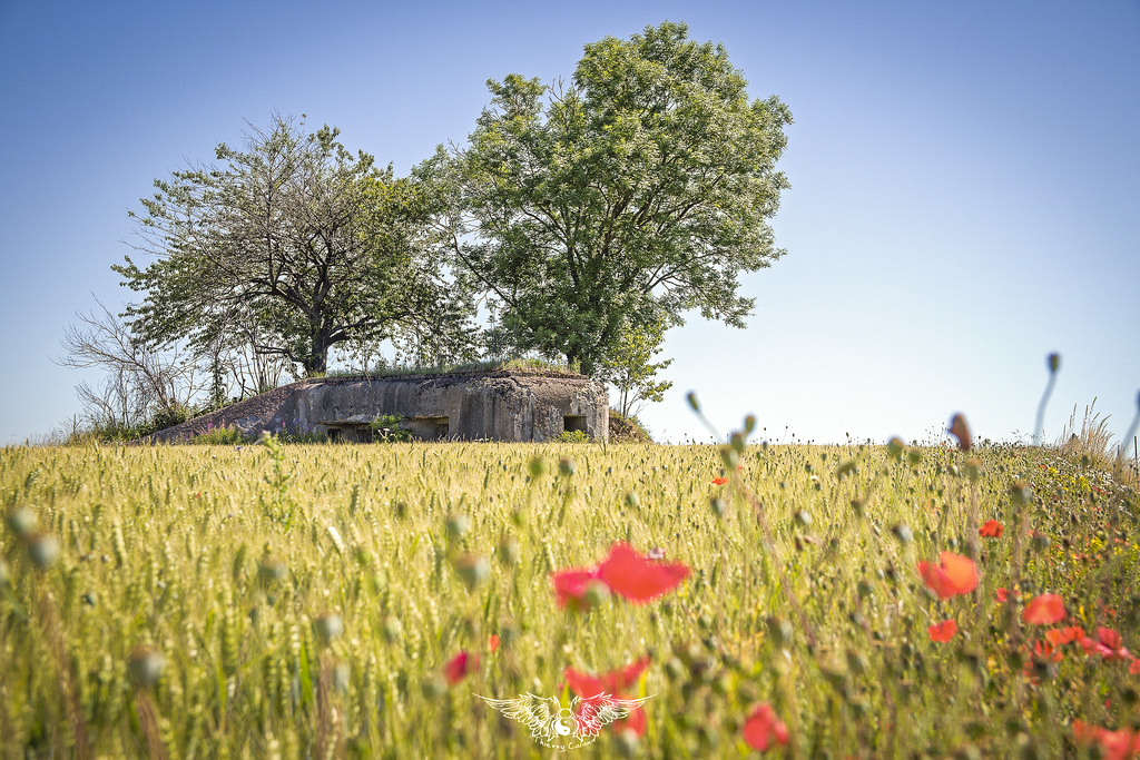 Ligne Maginot - MB9 - HARNEVAUX - (Blockhaus pour canon) - 