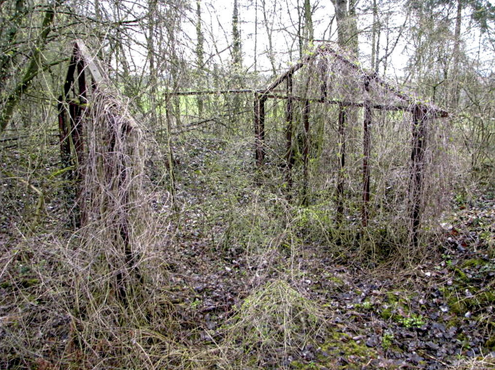 Ligne Maginot - BAMBESCH - (Dépôt de Munitions) -  - Sylvie Laure LAMBERT