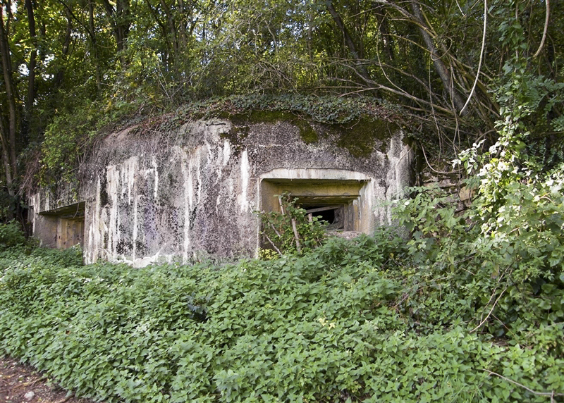 Ligne Maginot - MB18 - (Blockhaus pour canon) - Ouvrage à flanc de colline a peine visible - Jean-Louis AUBLET & Sylvie MAINGUIN