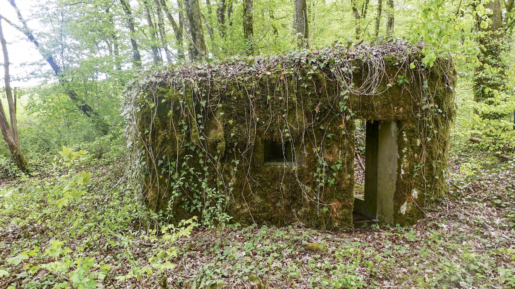 Ligne Maginot - MBO3 - (Blockhaus pour canon) - 