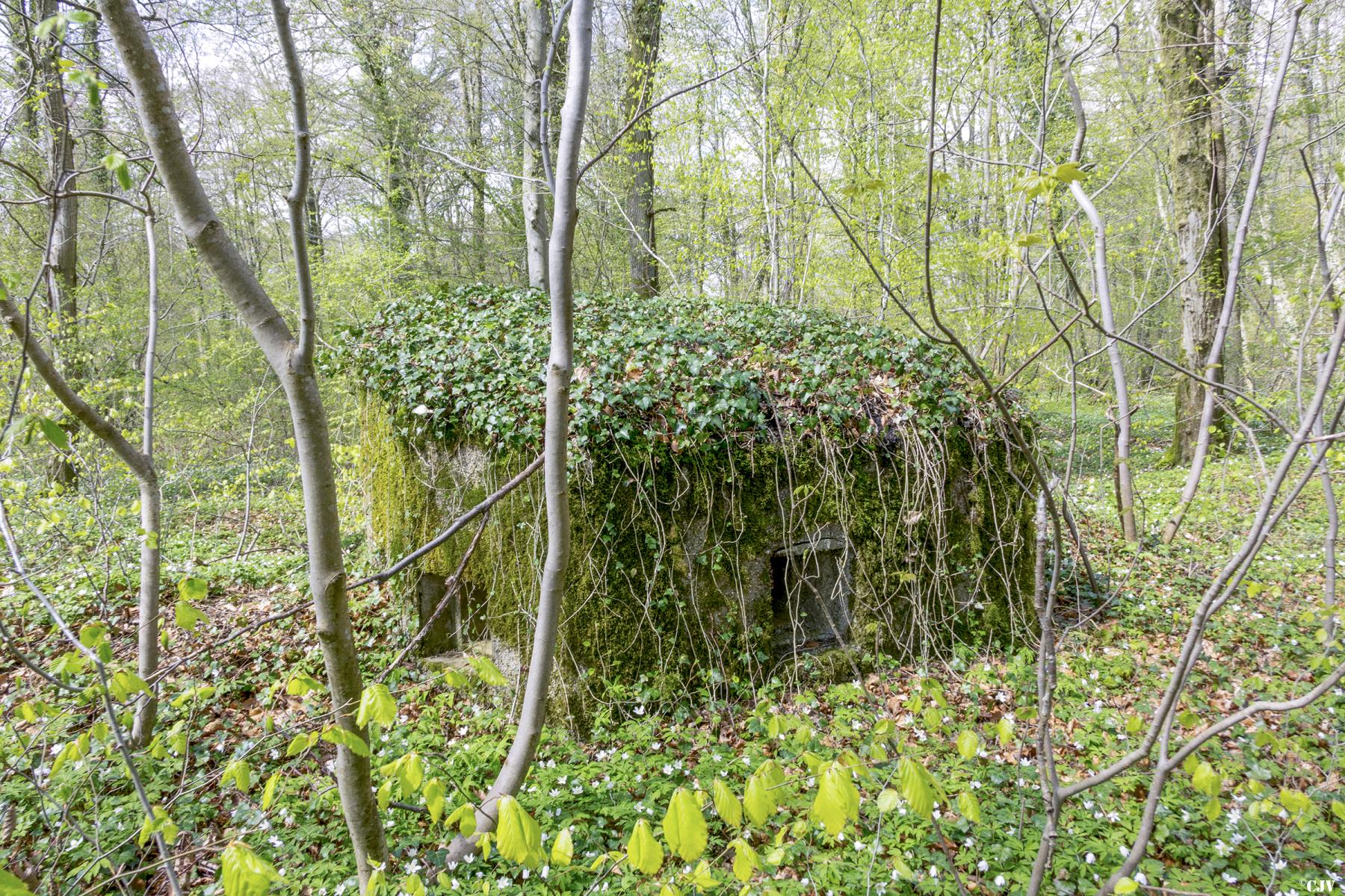 Ligne Maginot - MBA2 - (Blockhaus pour arme infanterie) - La face avant
