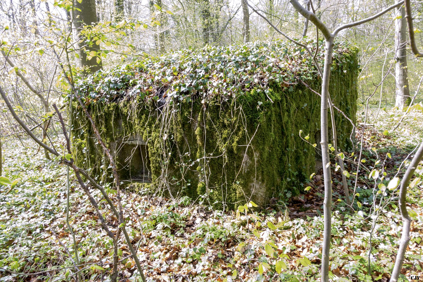 Ligne Maginot - MBA2 - (Blockhaus pour arme infanterie) - La face avant - Lia VERMEULEN