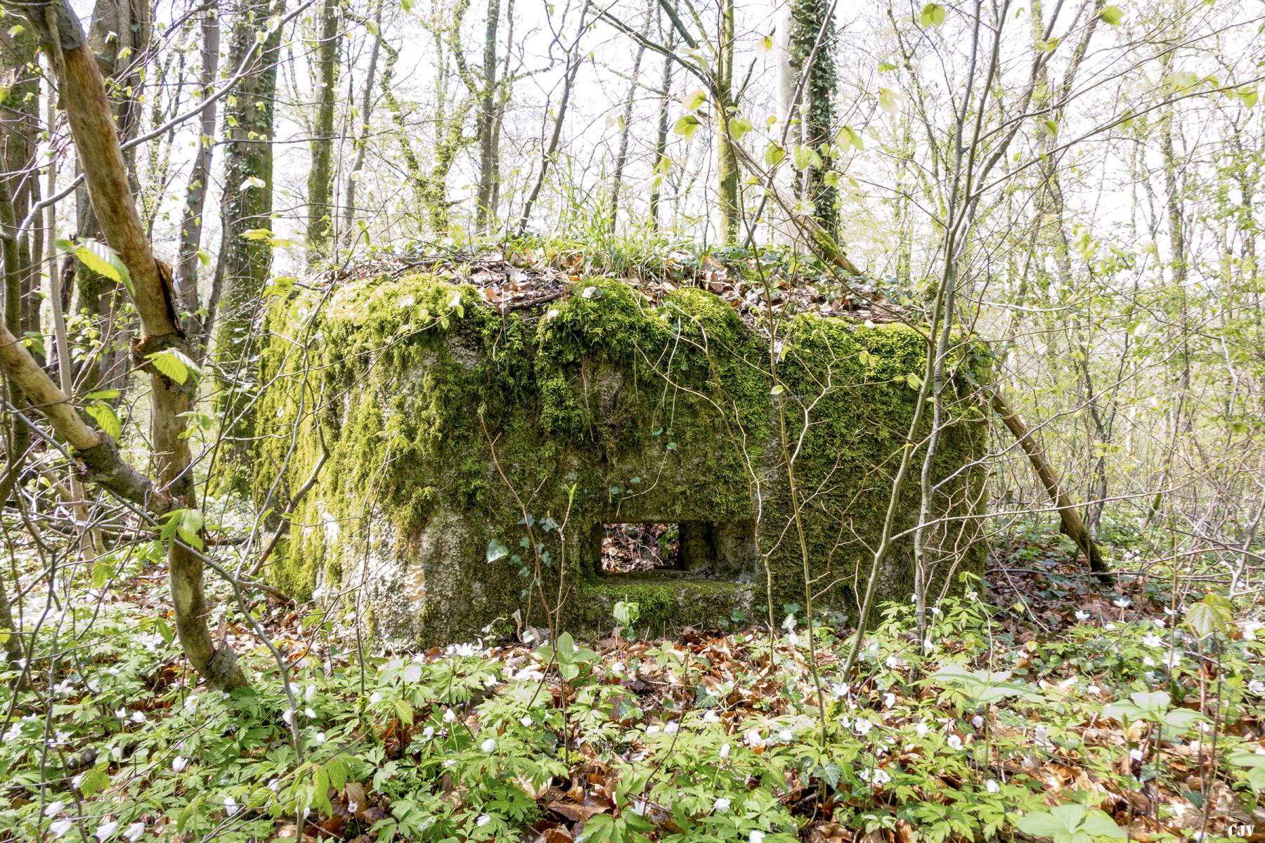 Ligne Maginot - MBA3 - (Blockhaus pour arme infanterie) - La face avant