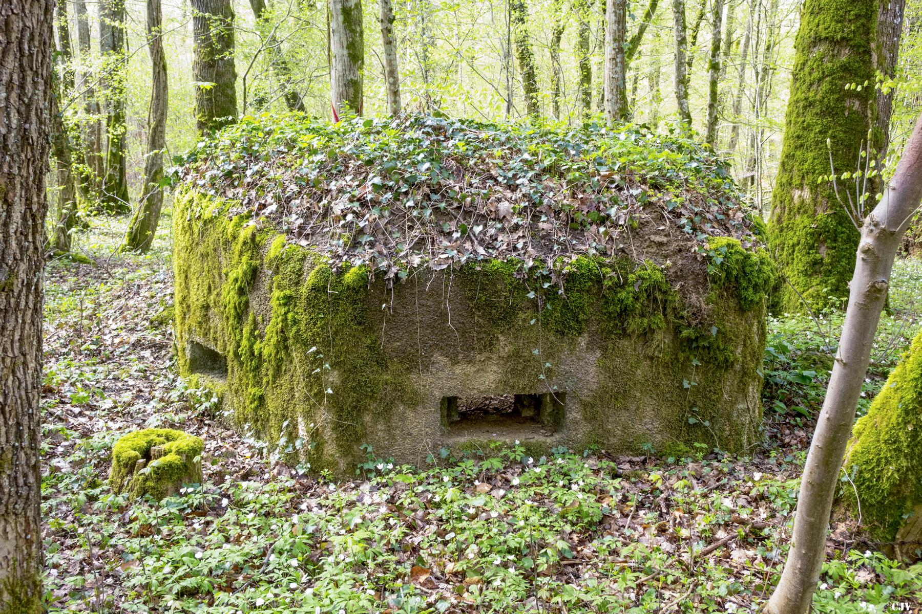 Ligne Maginot - MBA4 - (Blockhaus pour arme infanterie) - La face avant - Lia VERMEULEN