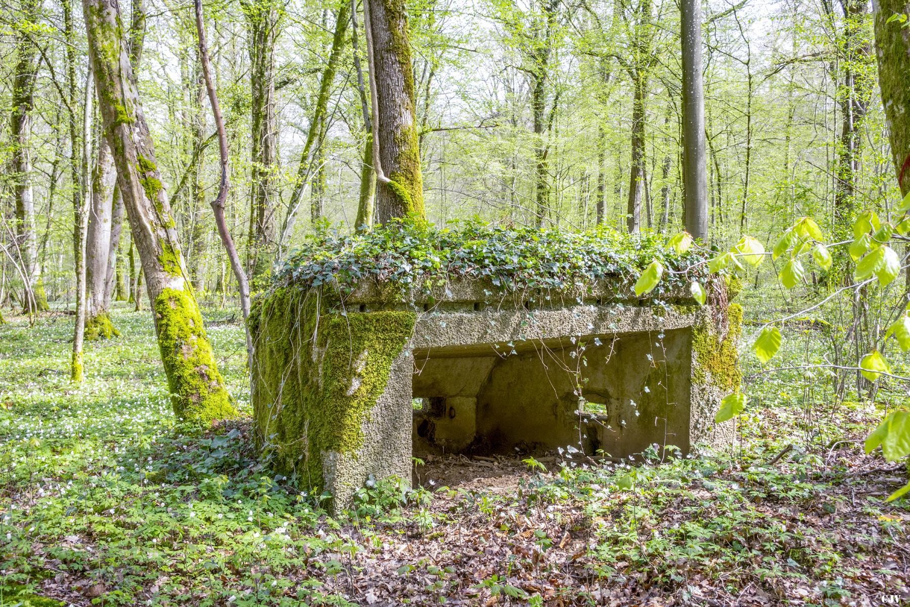Ligne Maginot - MBA4 - (Blockhaus pour arme infanterie) -  La face arrière              