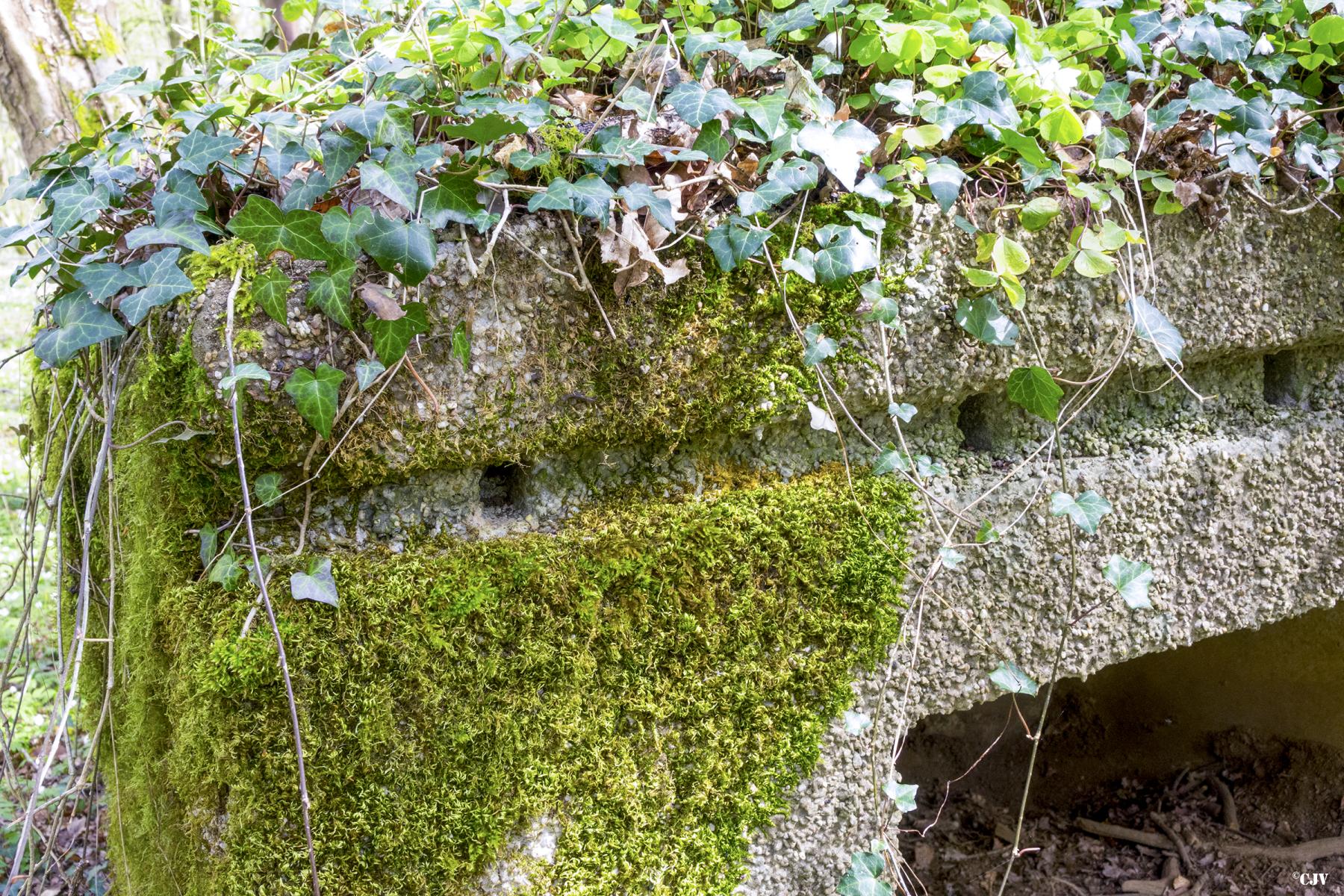 Ligne Maginot - MBA4 - (Blockhaus pour arme infanterie) -  - Lia VERMEULEN