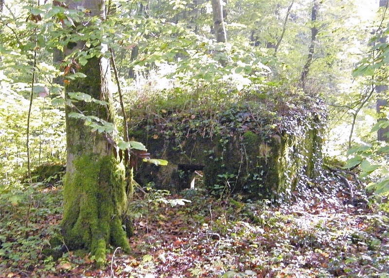 Ligne Maginot - MBA7 - (Blockhaus pour arme infanterie) - La face avant