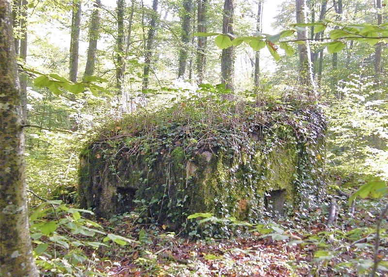 Ligne Maginot - MBA7 - (Blockhaus pour arme infanterie) - 