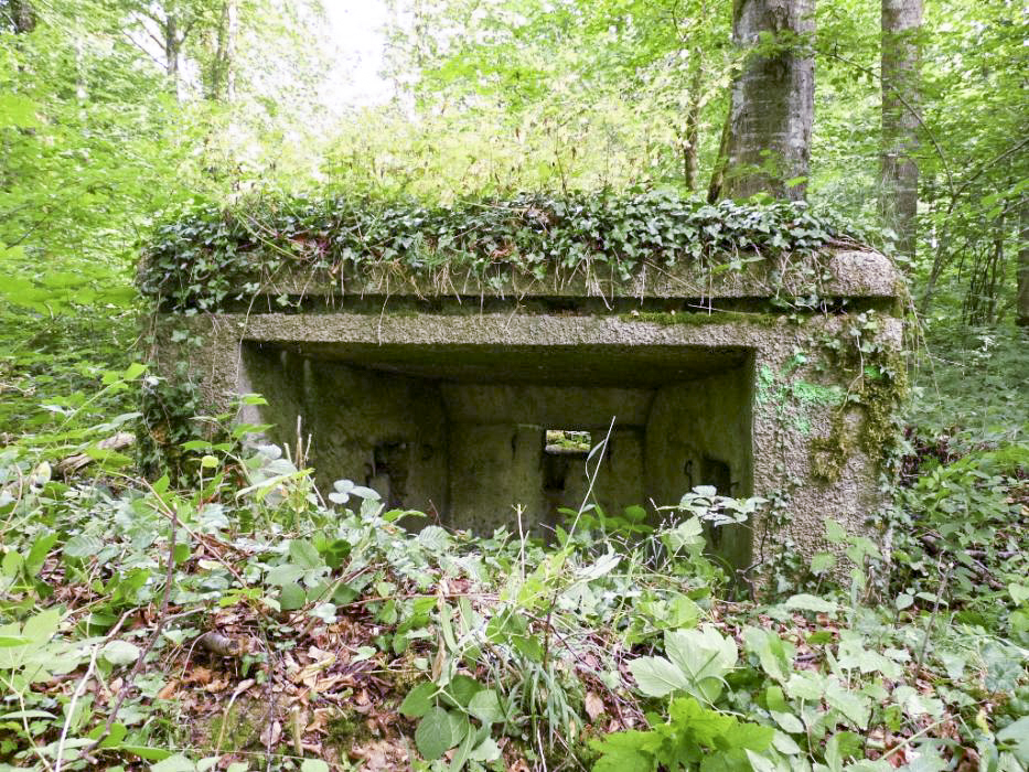 Ligne Maginot - MBA7 - (Blockhaus pour arme infanterie) - La face arrière