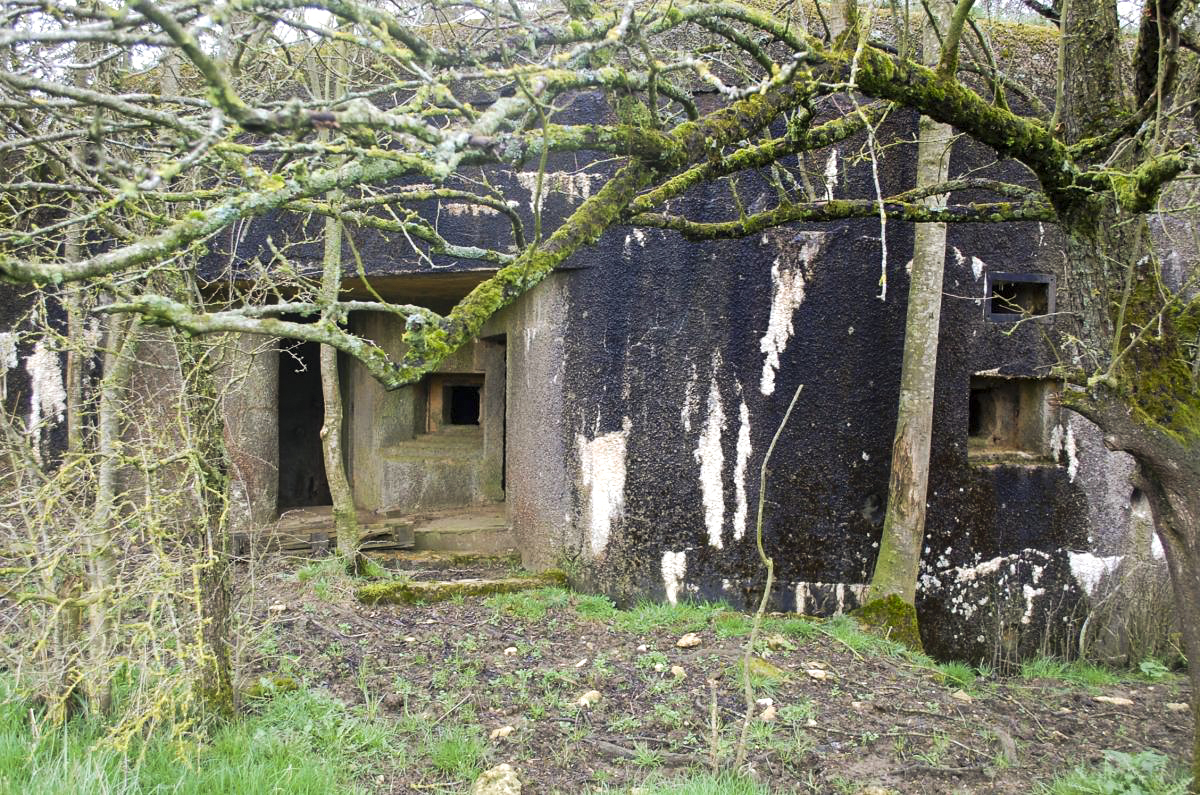Ligne Maginot - MB161 - (Blockhaus pour canon) - Vue de la façade et de l'entrée
