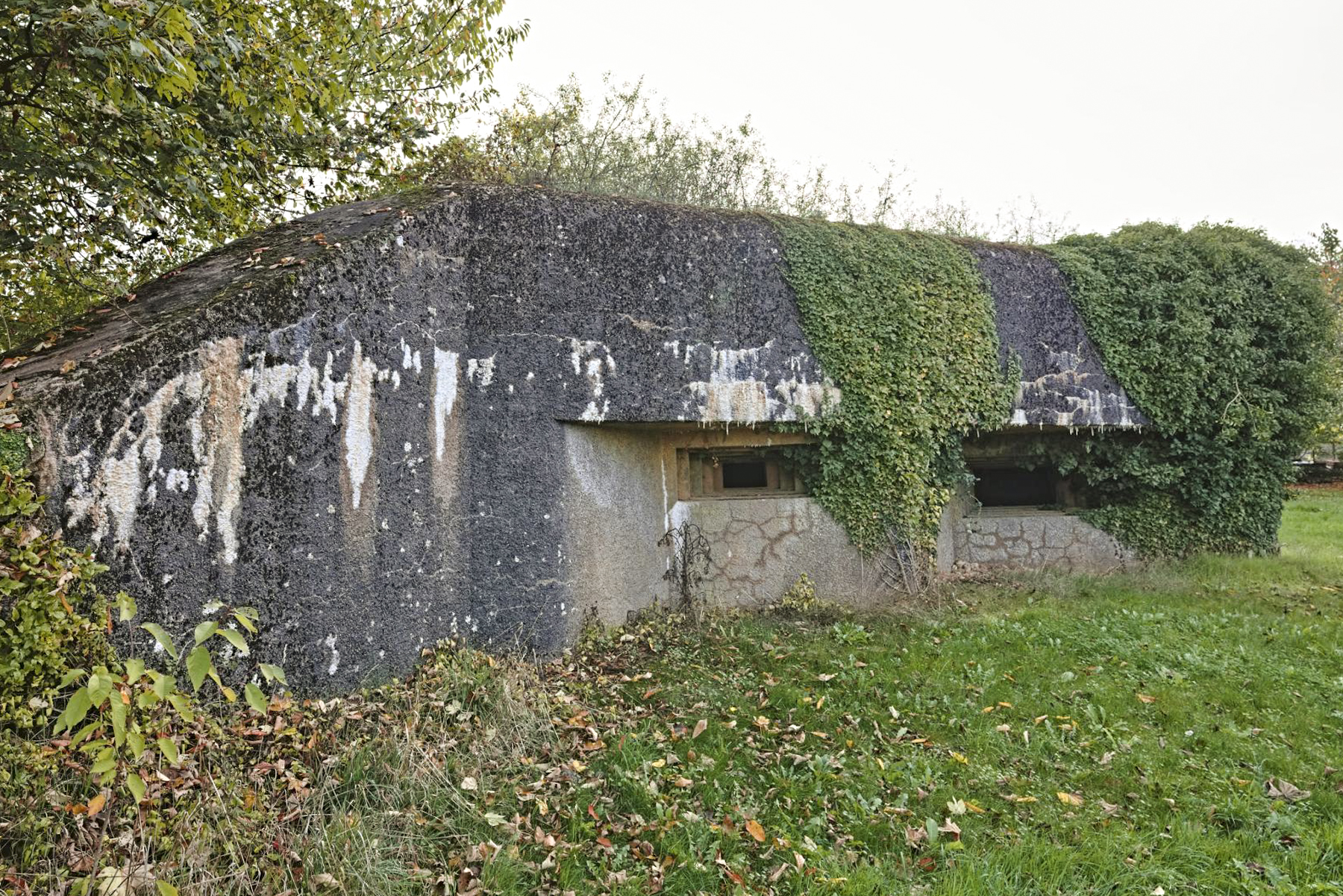 Ligne Maginot - MB292 - MM419 - (Blockhaus pour canon) -  - Thierry Caland