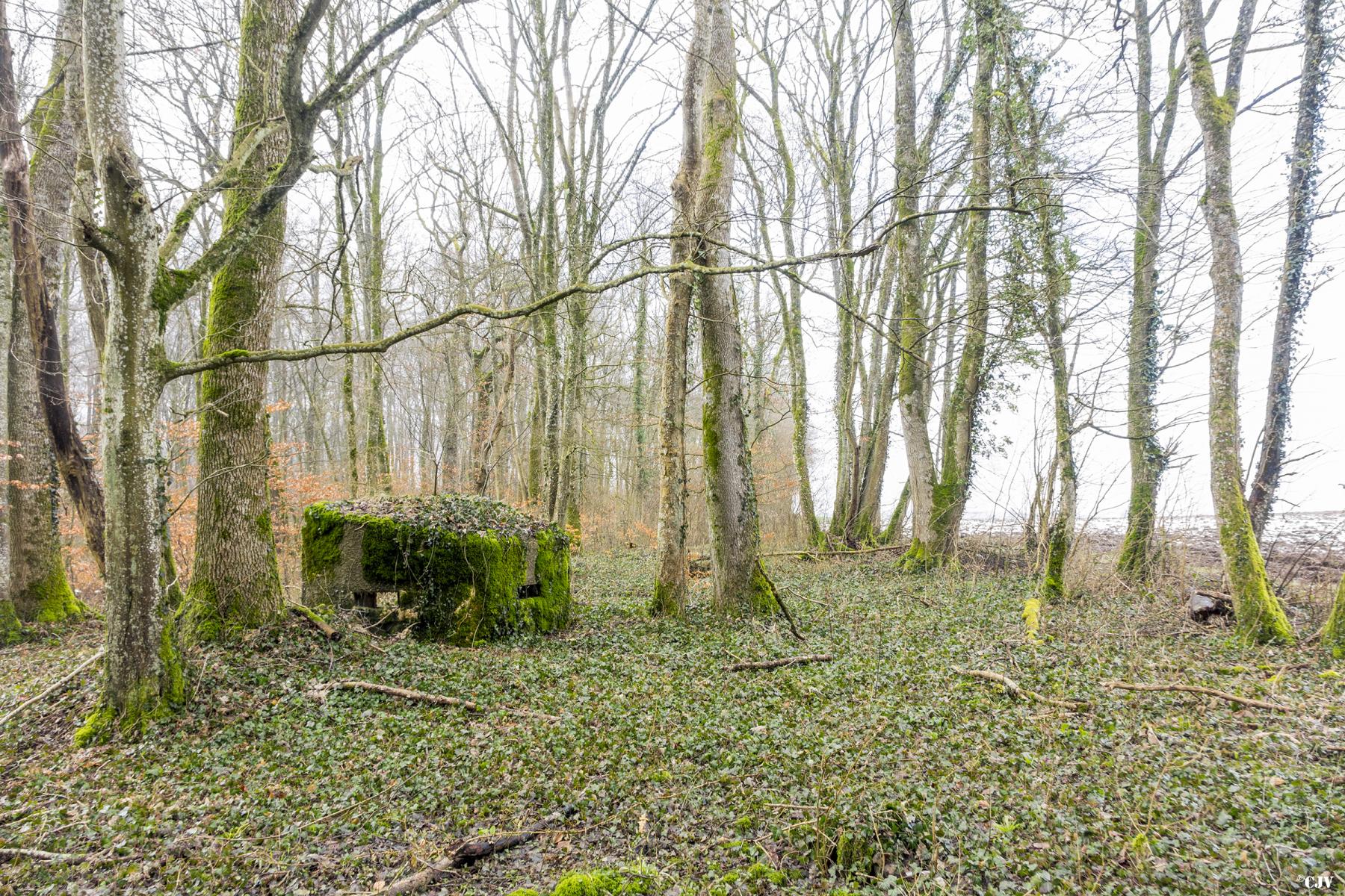 Ligne Maginot - MBA9 - (Blockhaus pour arme infanterie) - 