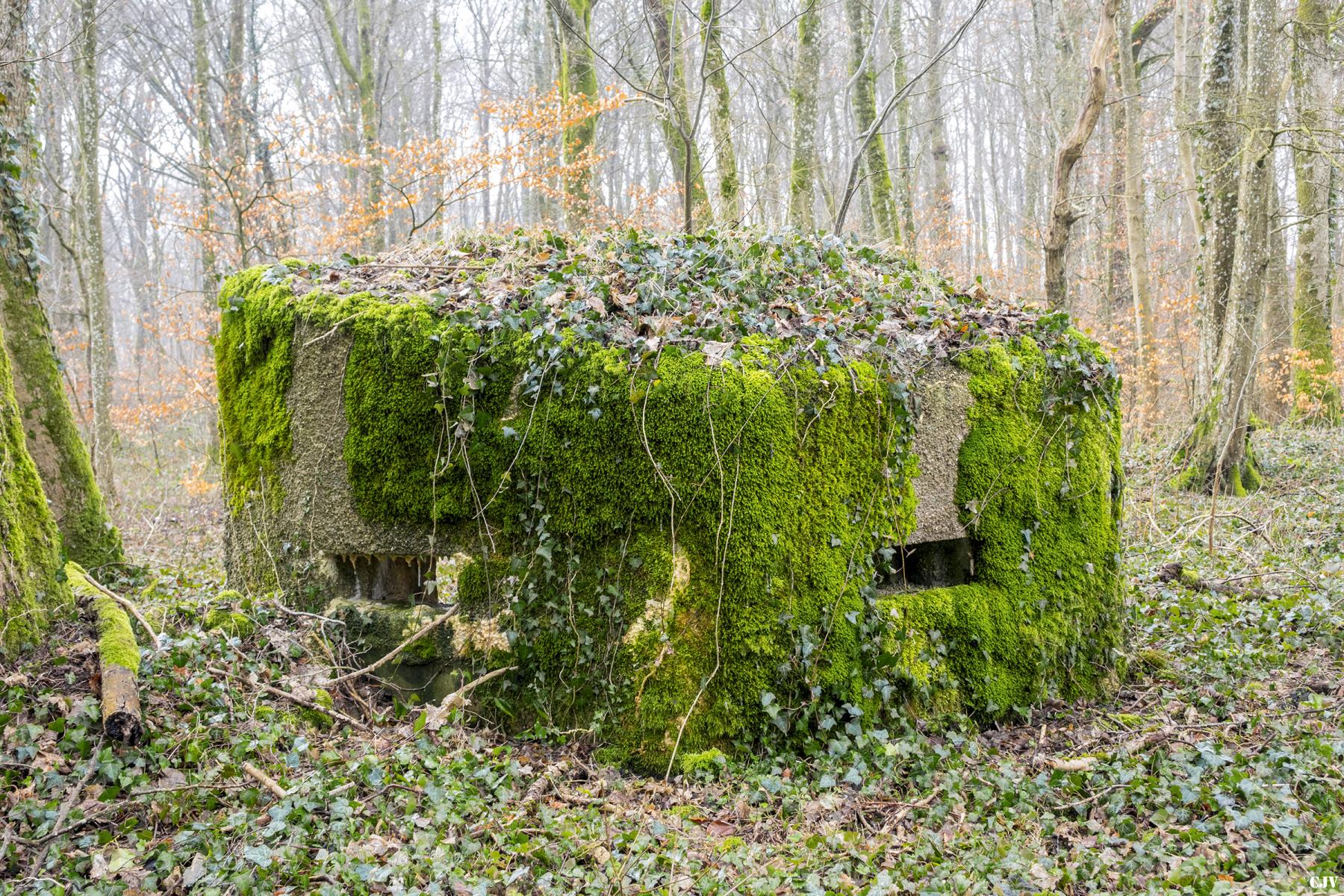 Ligne Maginot - MBA9 - (Blockhaus pour arme infanterie) -  - Lia VERMEULEN
