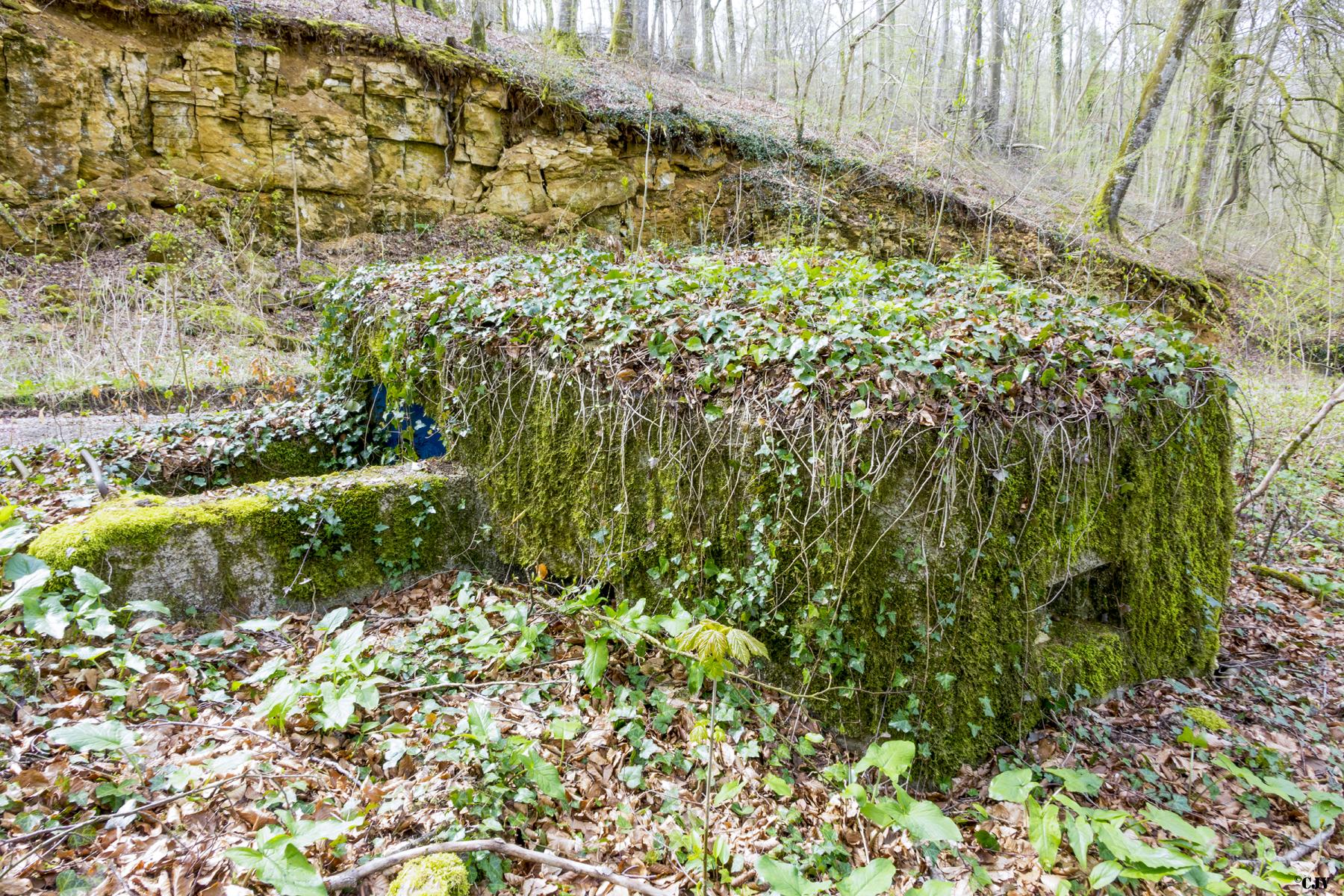 Ligne Maginot - MBA10 - (Blockhaus pour arme infanterie) -  - Lia VERMEULEN
