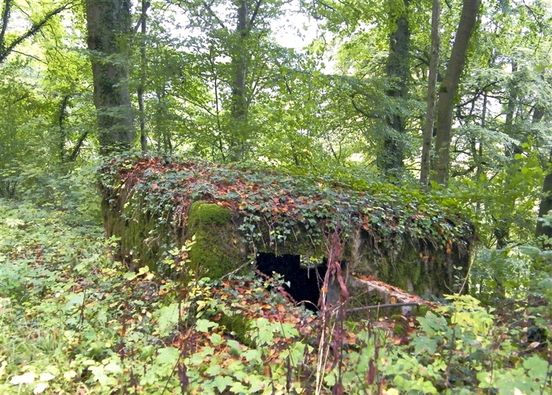 Ligne Maginot - MBA10 - (Blockhaus pour arme infanterie) - L'entrée