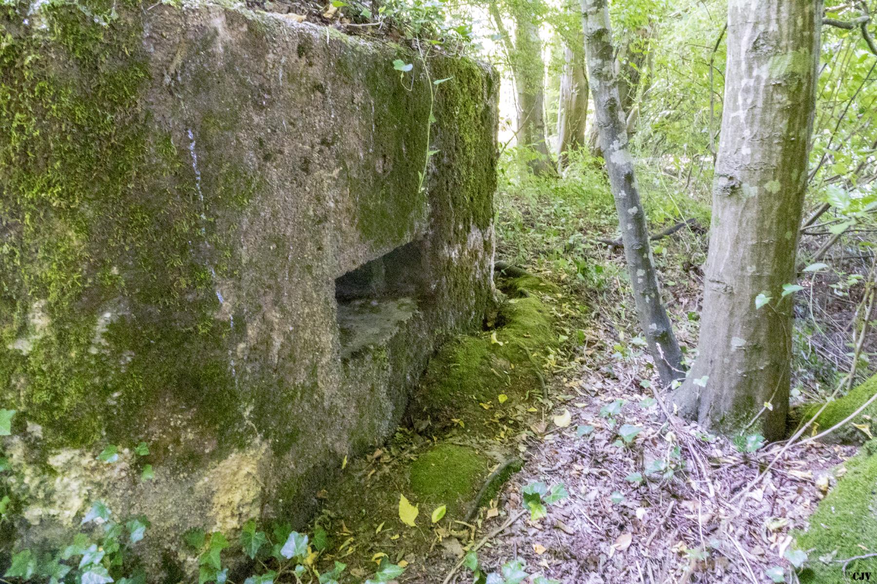 Ligne Maginot - MBA12 - (Blockhaus pour arme infanterie) -        - Lia VERMEULEN