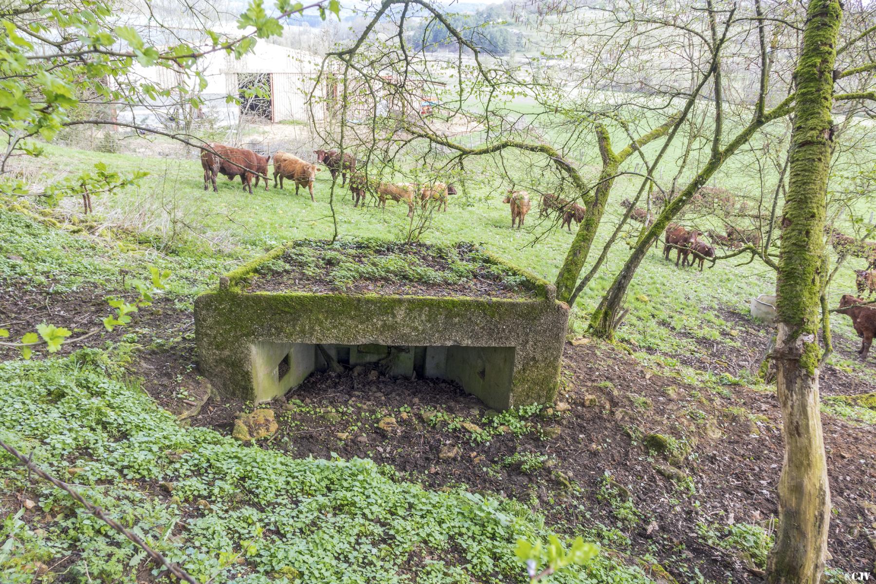 Ligne Maginot - MBO1 - (Blockhaus pour canon) -                       