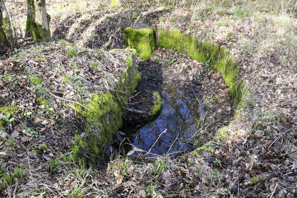 Ligne Maginot - STRANG 4 - (Cuve pour arme d'infanterie) -  - Alain Perouffe