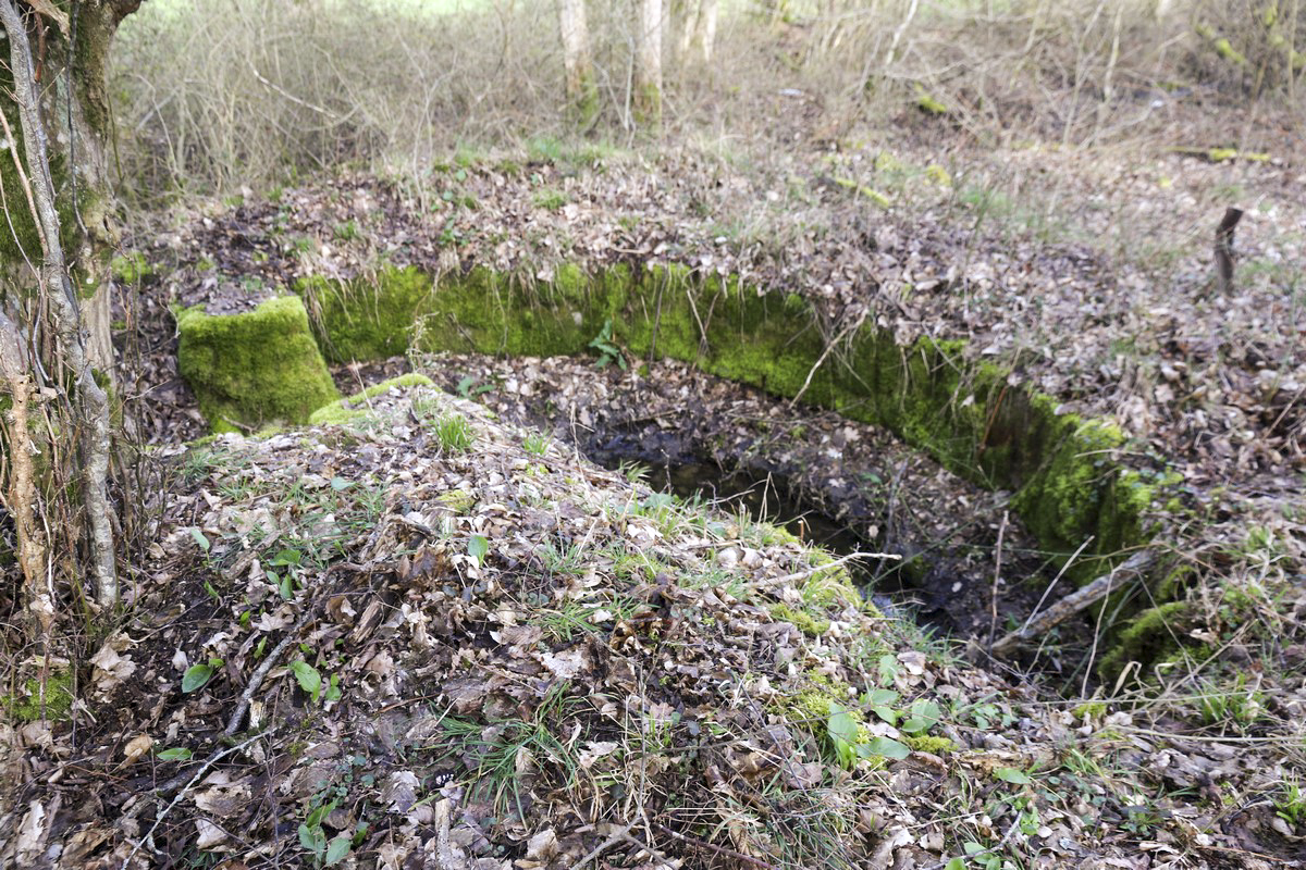 Ligne Maginot - STRANG 4 - (Cuve pour arme d'infanterie) -  - Alain Perouffe