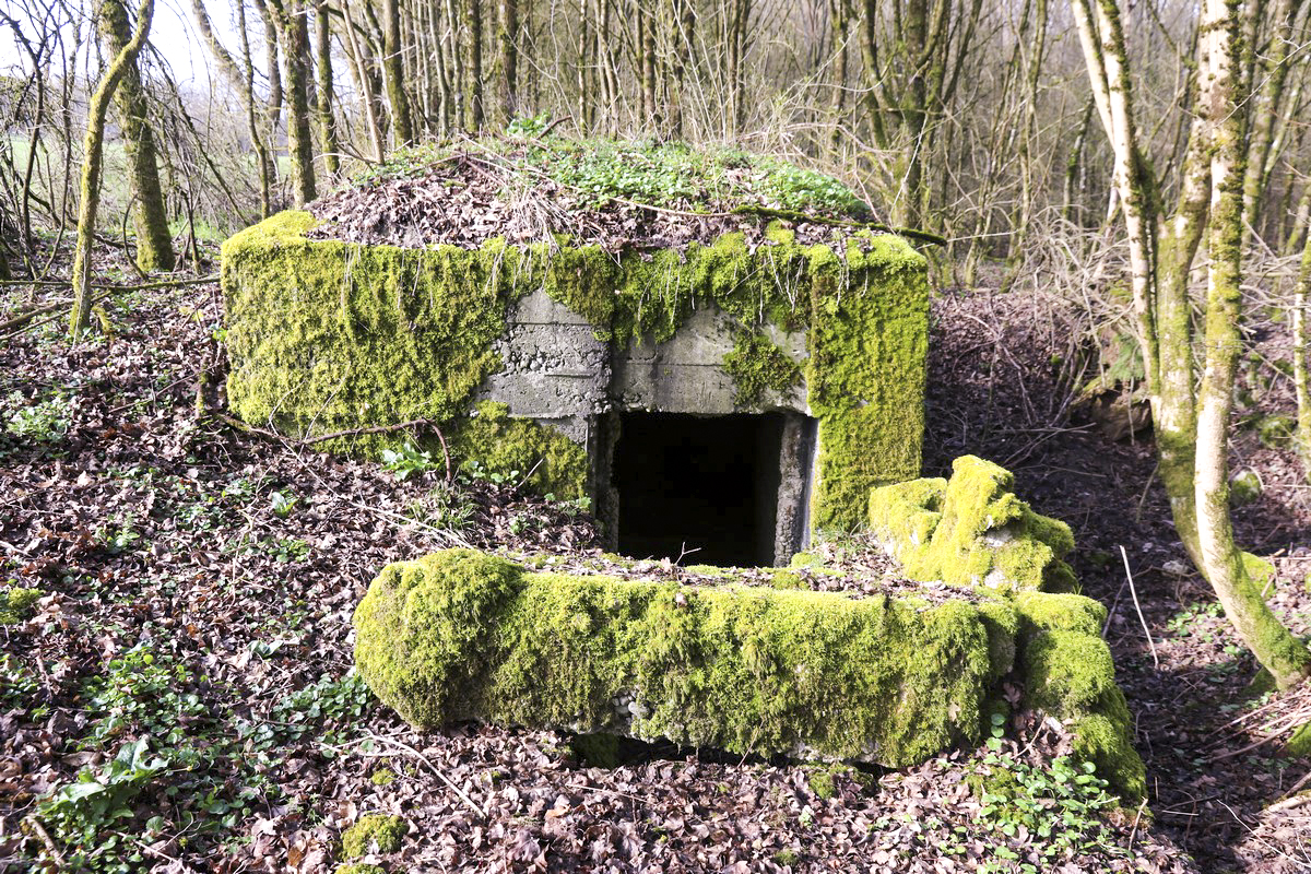 Ligne Maginot - STRANG 1 - (Abri) -  - Alain Perouffe