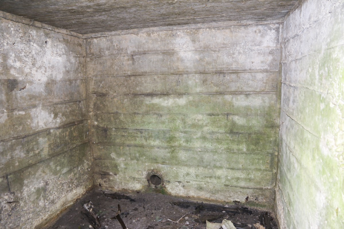 Ligne Maginot - STRANG 1 - (Abri) -  - Alain Perouffe