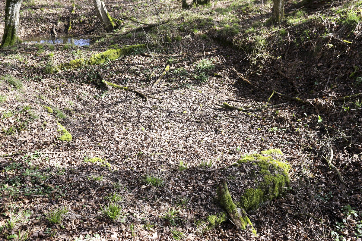 Ligne Maginot - STRANG 2 - (Cuve pour canon) -  - Alain Perouffe