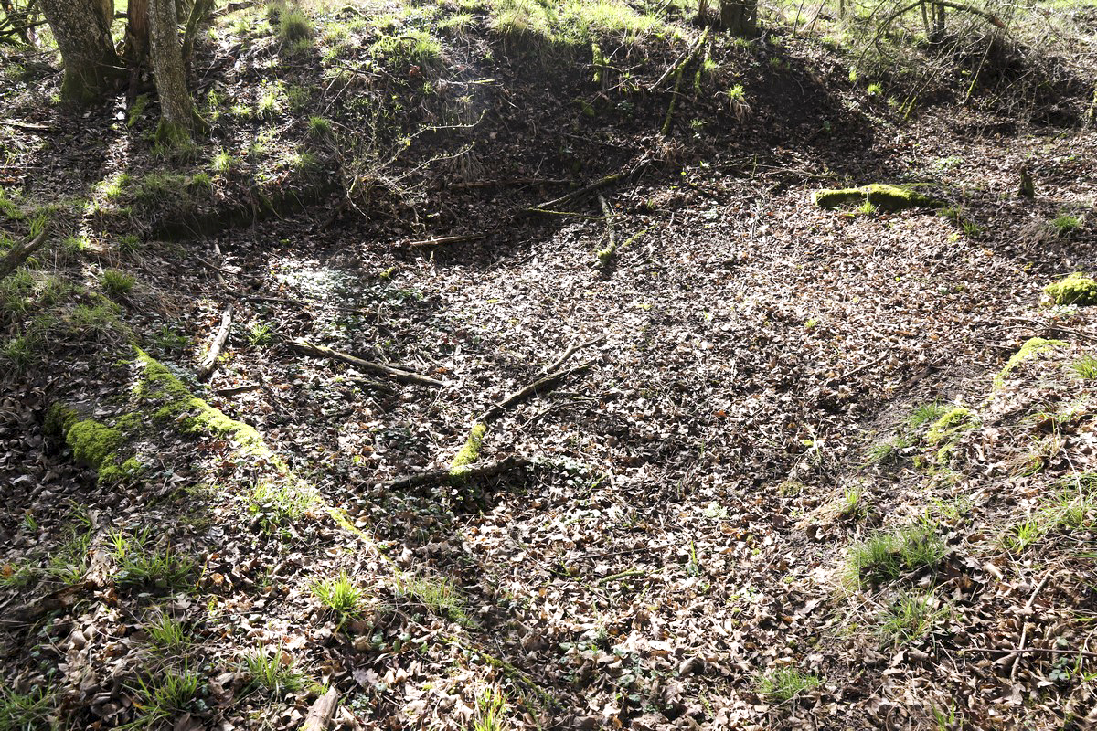 Ligne Maginot - STRANG 2 - (Cuve pour canon) -  - Alain Perouffe