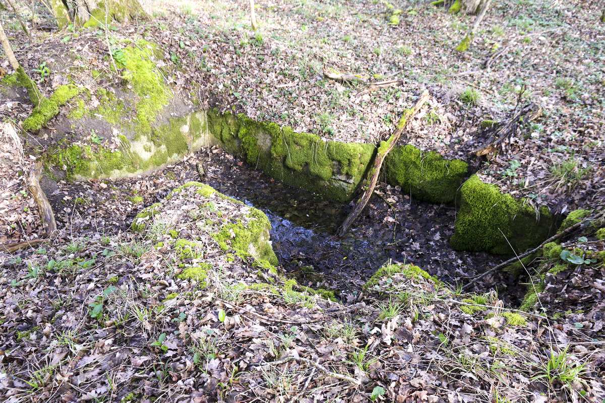 Ligne Maginot - STRANG 3 - (Cuve pour arme d'infanterie) -  - Alain Perouffe