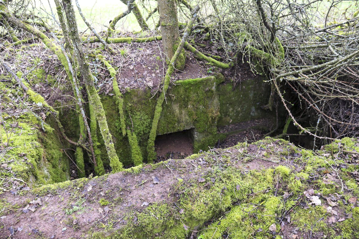 Ligne Maginot - VALETTE OUEST 2 - (Cuve pour arme d'infanterie) - Cuve pour mitrailleuse - Alain Perouffe