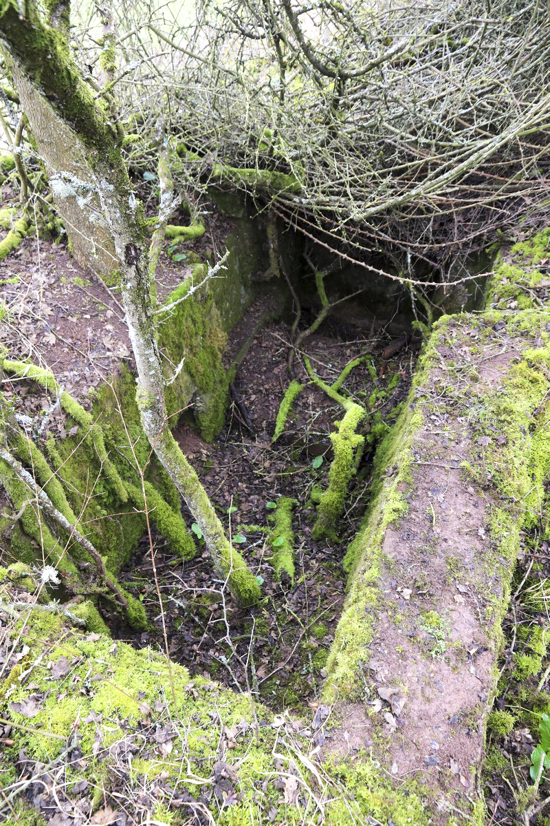 Ligne Maginot - VALETTE OUEST 2 - (Cuve pour arme d'infanterie) - Cuve pour mitrailleuse - Alain Perouffe