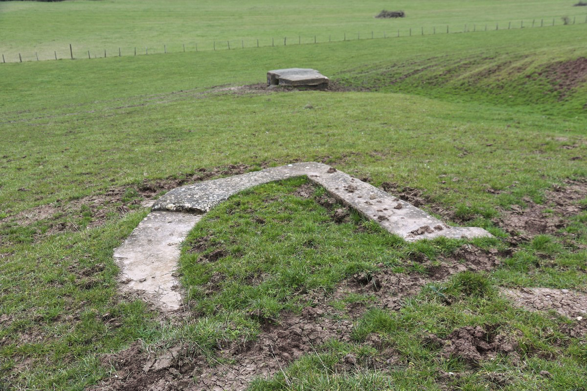 Ligne Maginot - DRIESCHBERG 4 - (Cuve pour arme d'infanterie) -  - Alain Perouffe