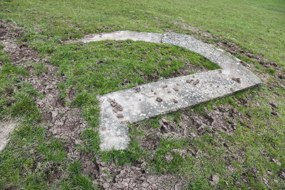 Ligne Maginot - DRIESCHBERG 4 - (Cuve pour arme d'infanterie) -  - Alain Perouffe