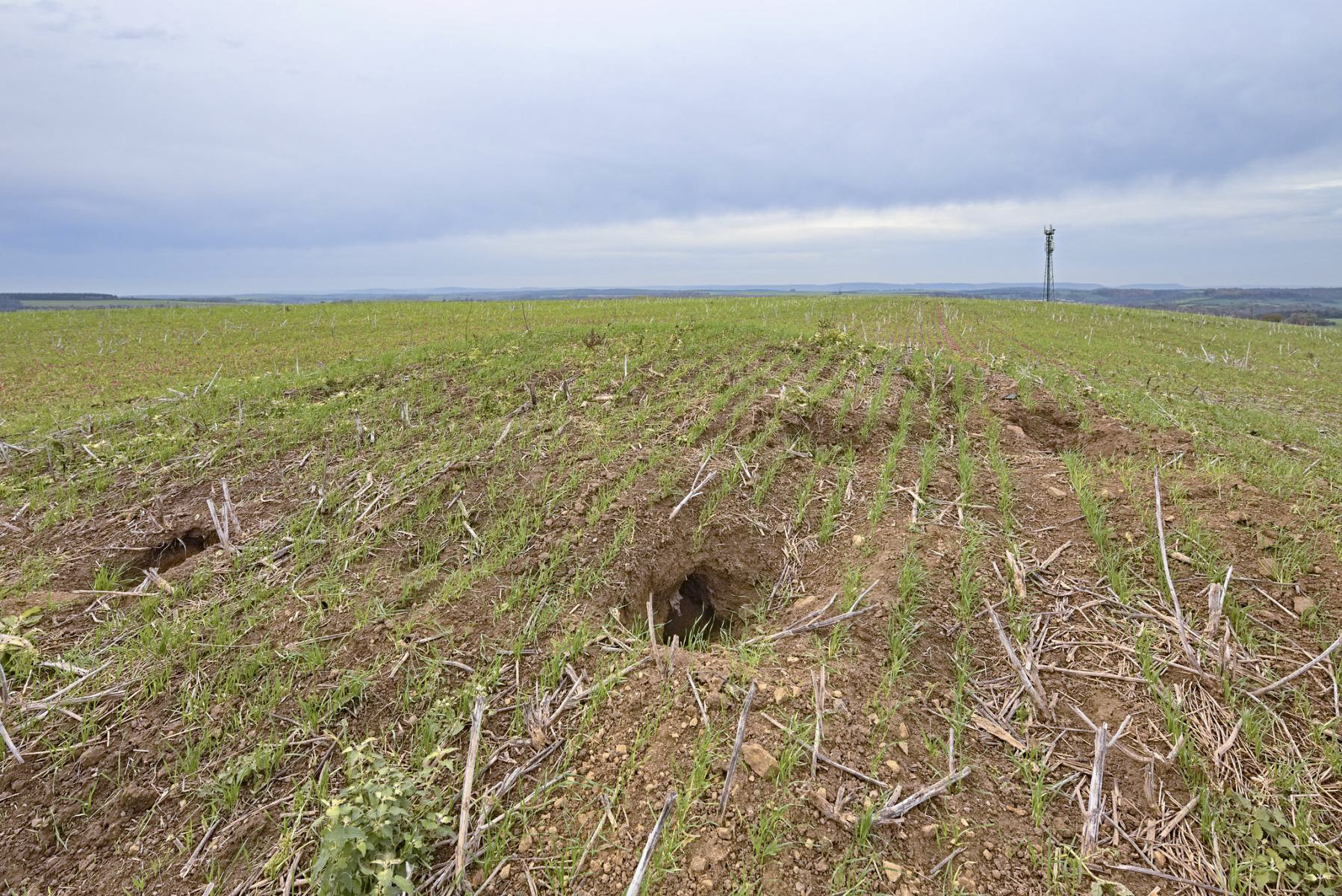 Ligne Maginot - MO3 - HAUT DE SALOMON - COTE 317 - (Observatoire d'artillerie) - Etat 2022 - Thierry Caland