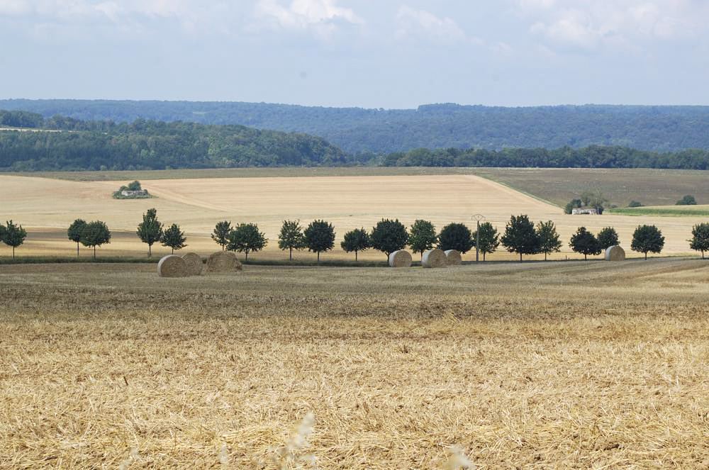 Ligne Maginot - MO3 - HAUT DE SALOMON - COTE 317 - (Observatoire d'artillerie) - Depuis l'observatoire, les ouvrages Mb51 et Mb52 en contrebas.