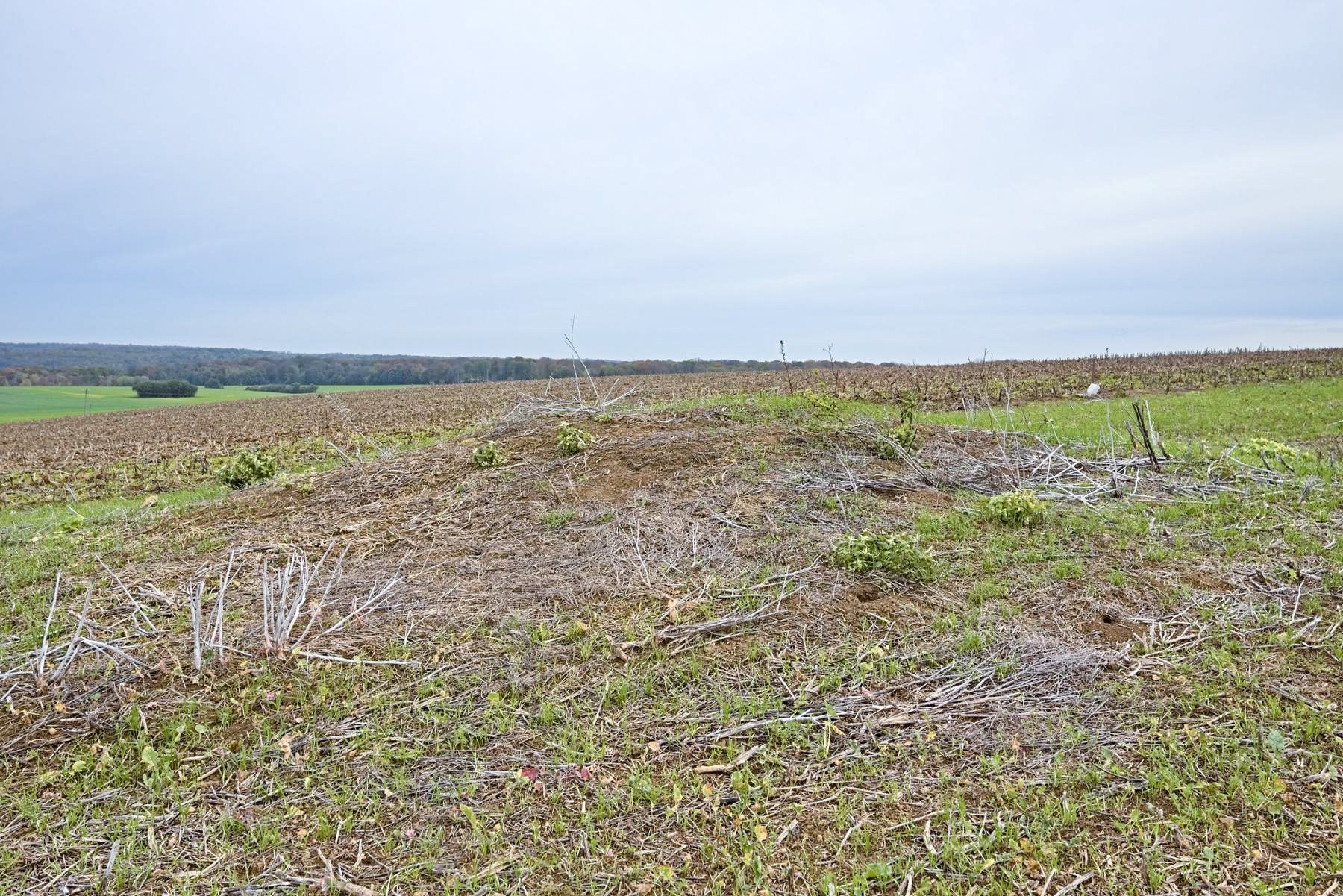 Ligne Maginot - MT16 - (Cuve pour arme d'infanterie) - Etat 2022 - Thierry Caland
