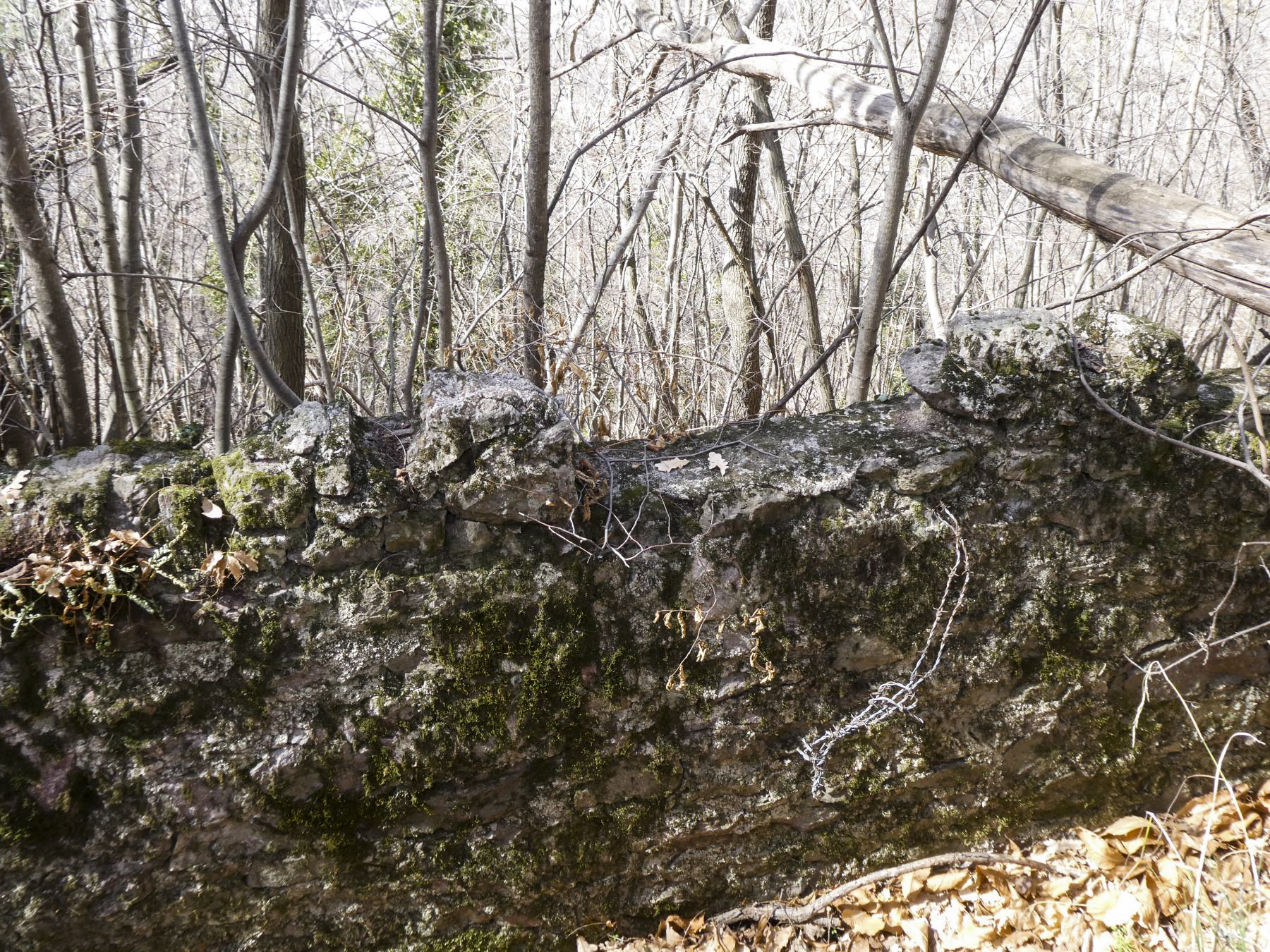 Ligne Maginot - PLANET (Ouvrage d'infanterie) - Tranchée nord ouest
4. Possible reste d'un petit observatoire sur le parapet. - ELLENA Daniel - CUNY Philippe