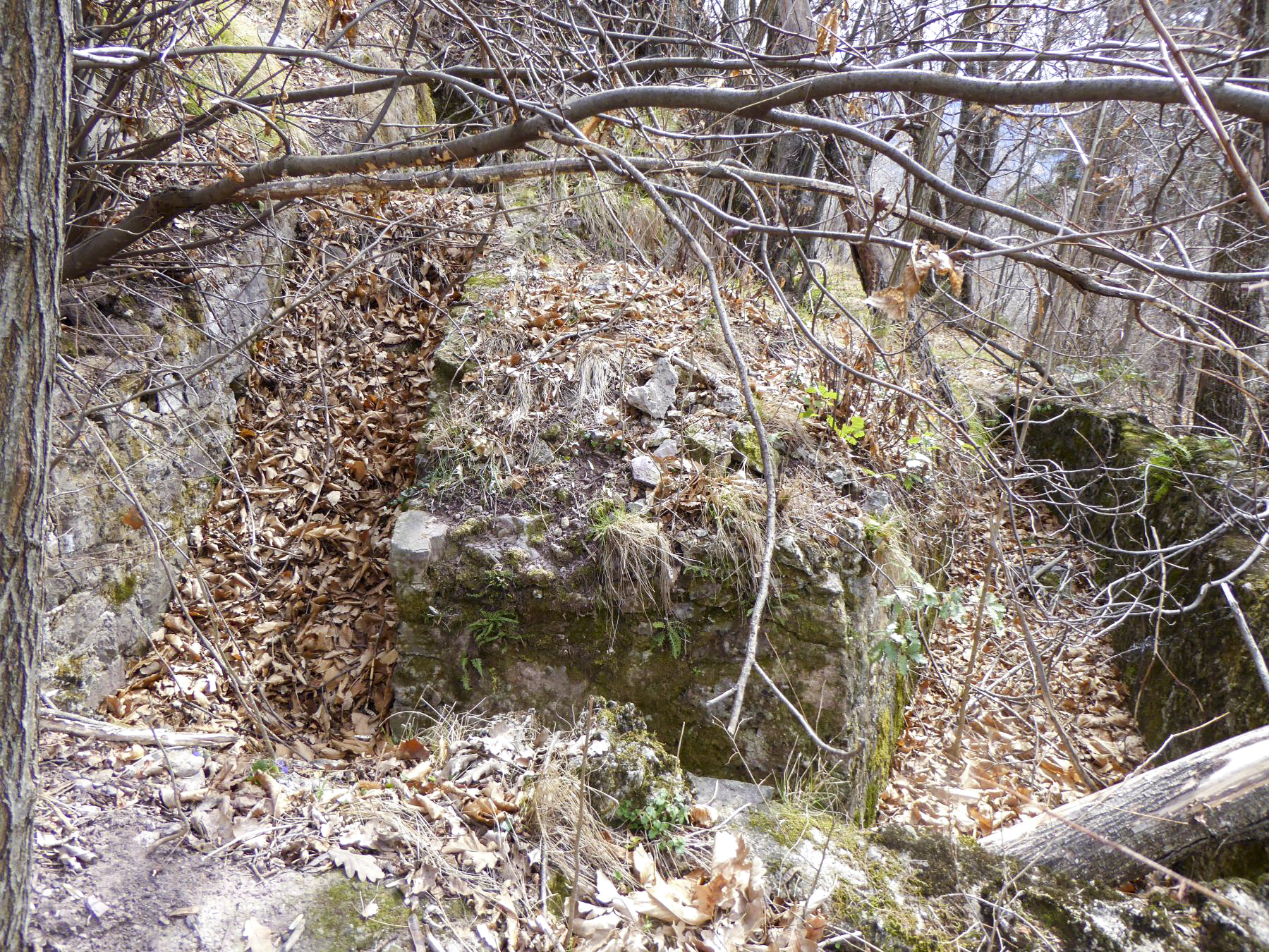 Ligne Maginot - PLANET (Ouvrage d'infanterie) - Tranchée nord ouest
5. - ELLENA Daniel - CUNY Philippe