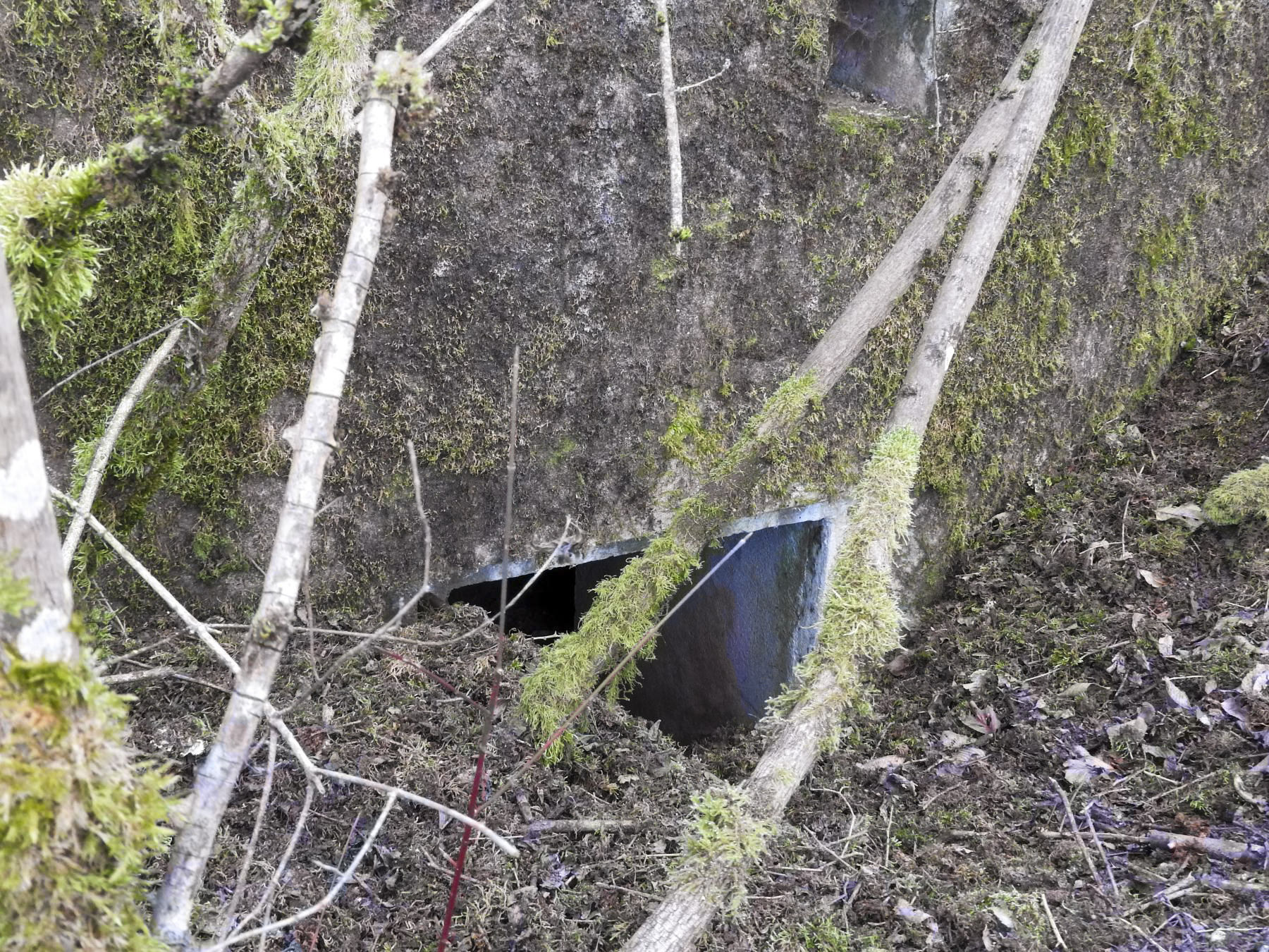 Ligne Maginot - BB306 - (Blockhaus pour arme infanterie) - L'entrée remblayée. - STENGER Mathieu