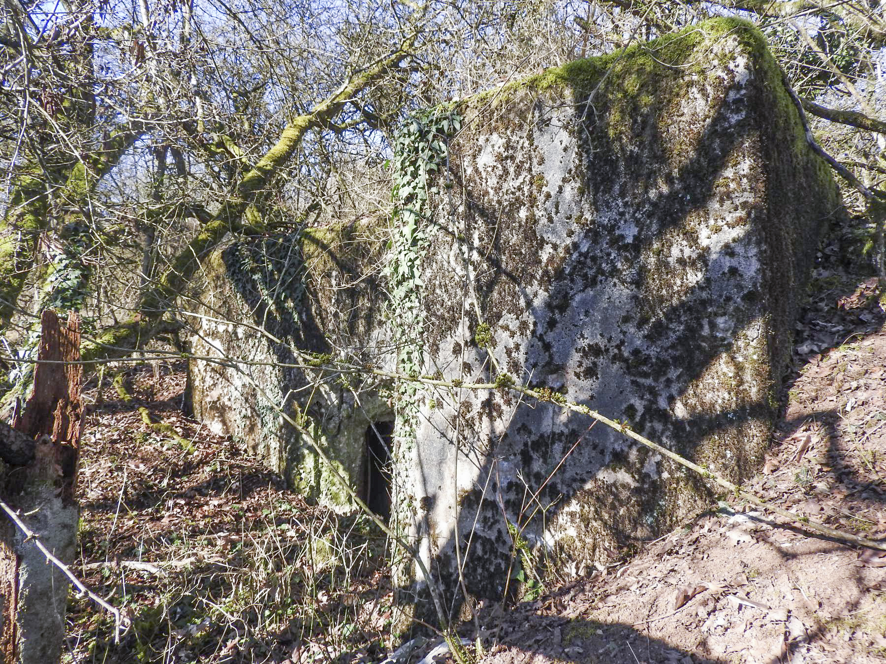 Ligne Maginot - BB305 - (Blockhaus pour arme infanterie) - La façade de tir. - STENGER Mathieu