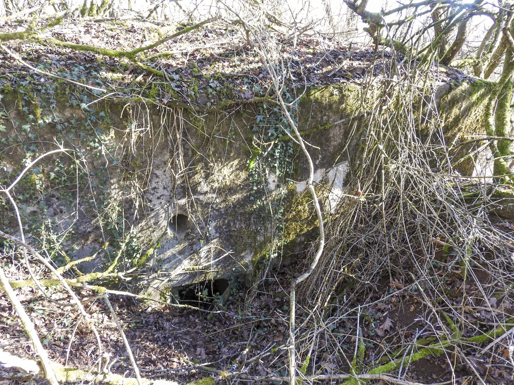 Ligne Maginot - BB305 - (Blockhaus pour arme infanterie) - L'entrée est remblayée. - STENGER Mathieu