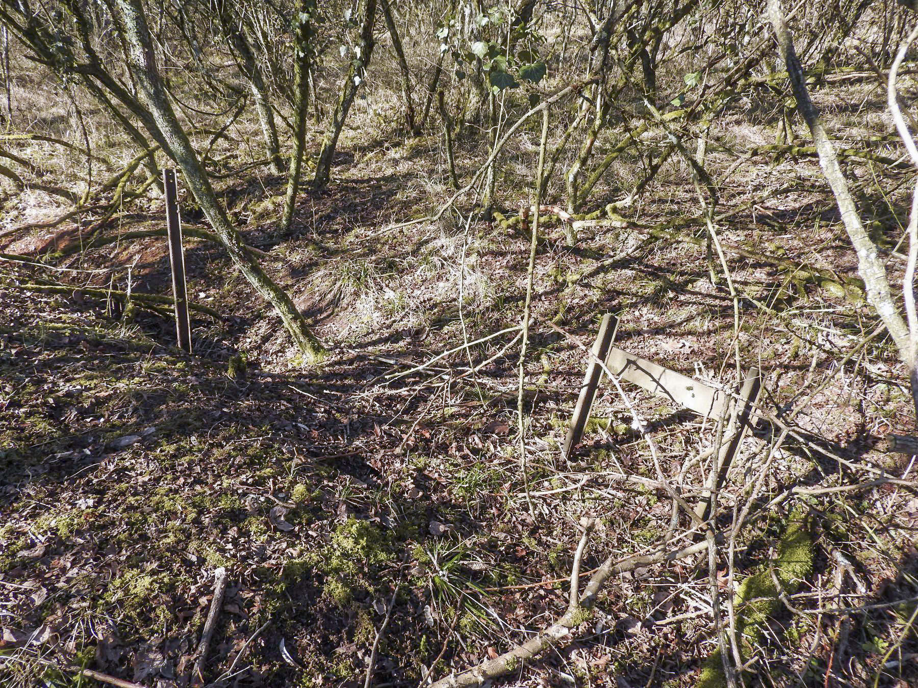 Ligne Maginot - BB305 - (Blockhaus pour arme infanterie) - La tranchée d'accès. On distingue un morceau de voie de 60, utilisée pour renforcé celle-ci ? - STENGER Mathieu