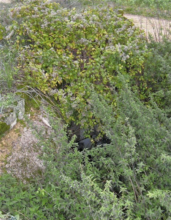 Ligne Maginot - VILLERS LE ROND - (Central téléphonique d'observation) -  - Jean-Louis AUBLET & Sylvie MAINGUIN