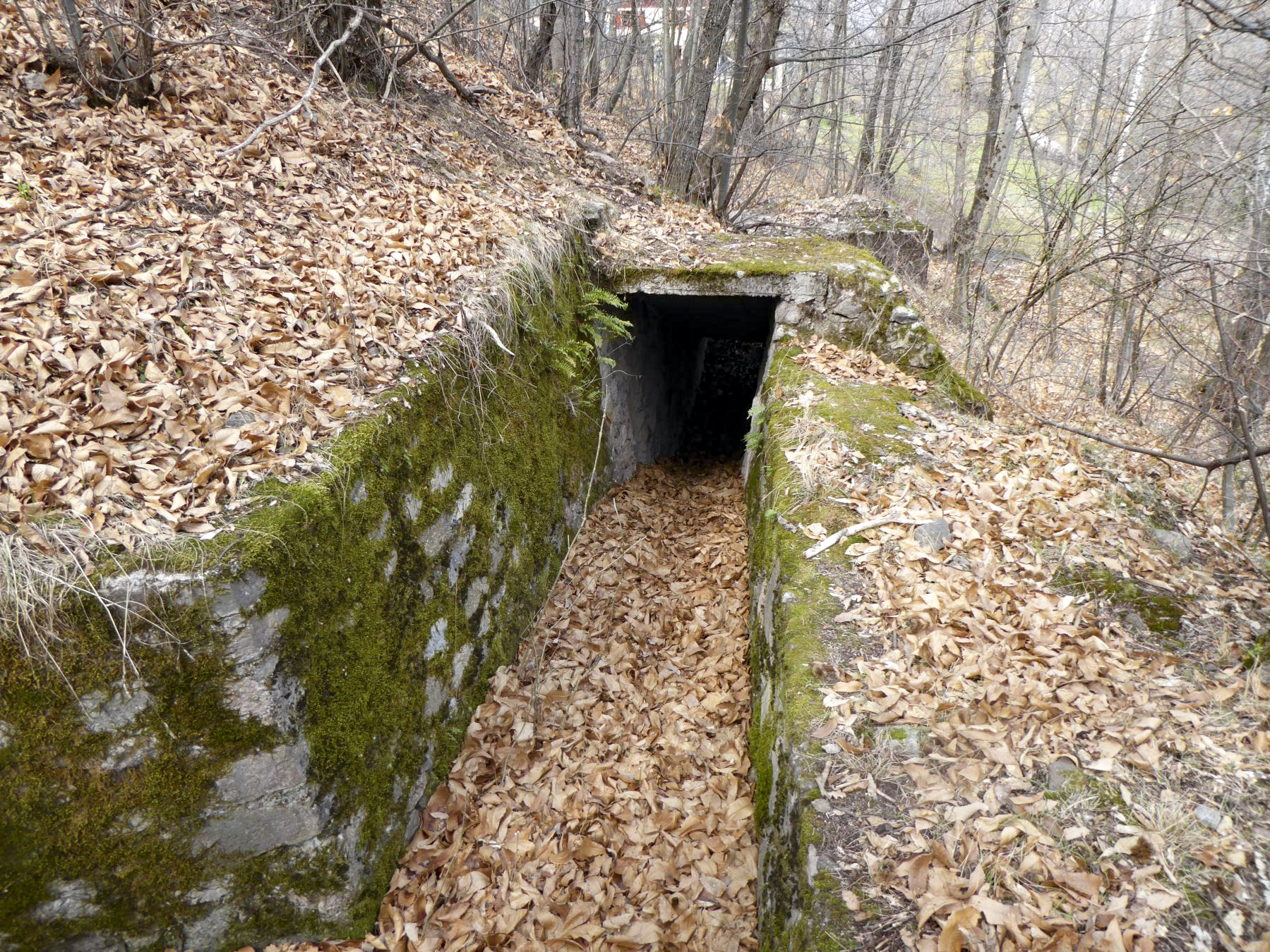 Ligne Maginot - PLANET - (Ouvrage d'infanterie) - Tranchée sud est
2. Extrémité de la tranchée au niveau de Planet 5 - ELLENA Daniel - CUNY Philippe