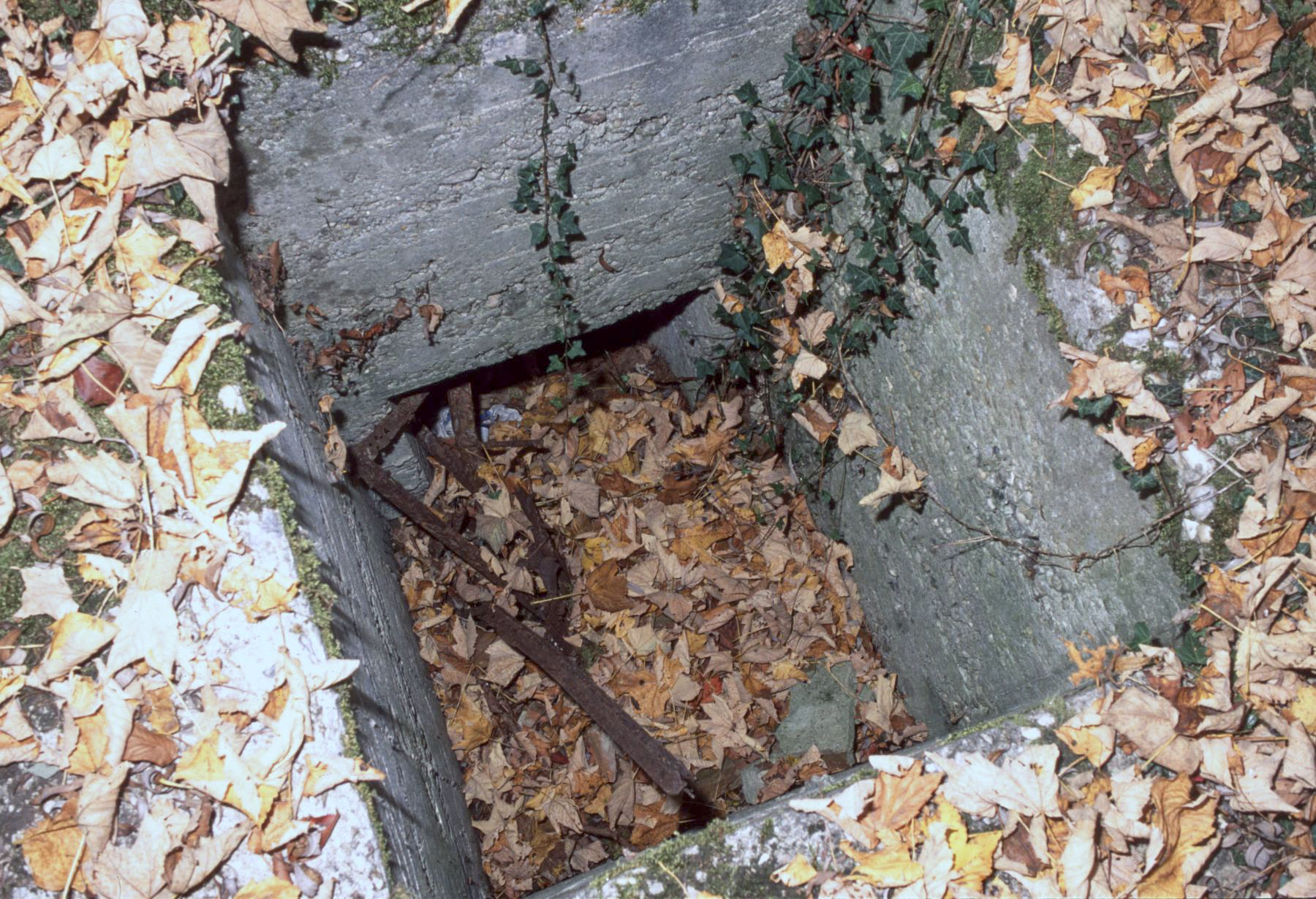 Ligne Maginot - SARRALBE BARRAGE - (Blockhaus pour arme infanterie) - L’accès au blockhaus - Michel Mansuy