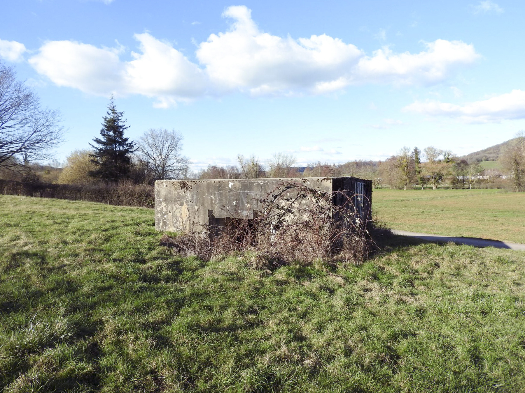 Ligne Maginot - CB160 - INGLANGE NORD - (Blockhaus pour canon) - La façade arrière et l'entrée. - STENGER Mathieu