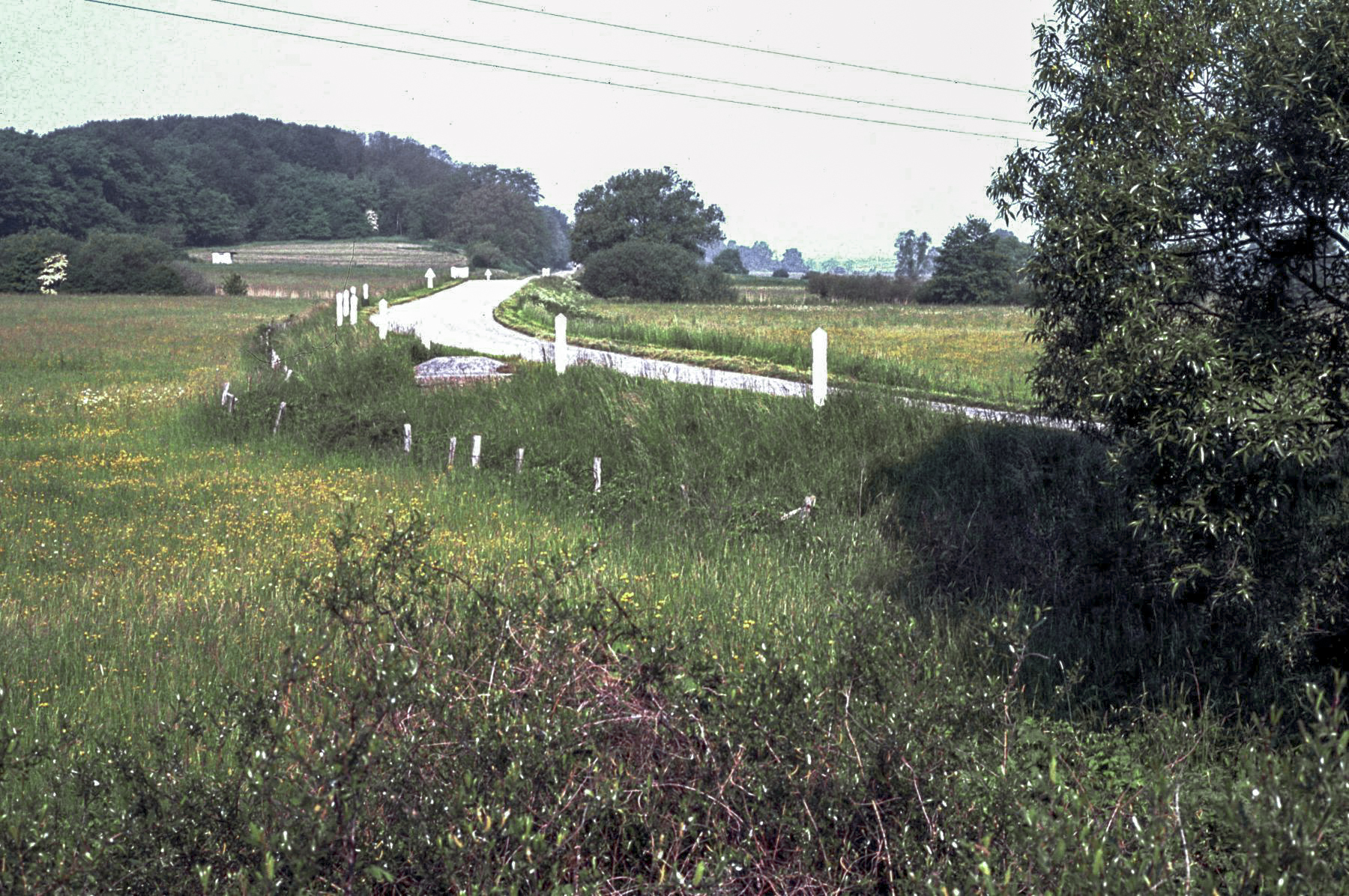 Ligne Maginot - RUISSEAU DE LA ROSE EST - (Observatoire indéterminé) -  - Michel Mansuy