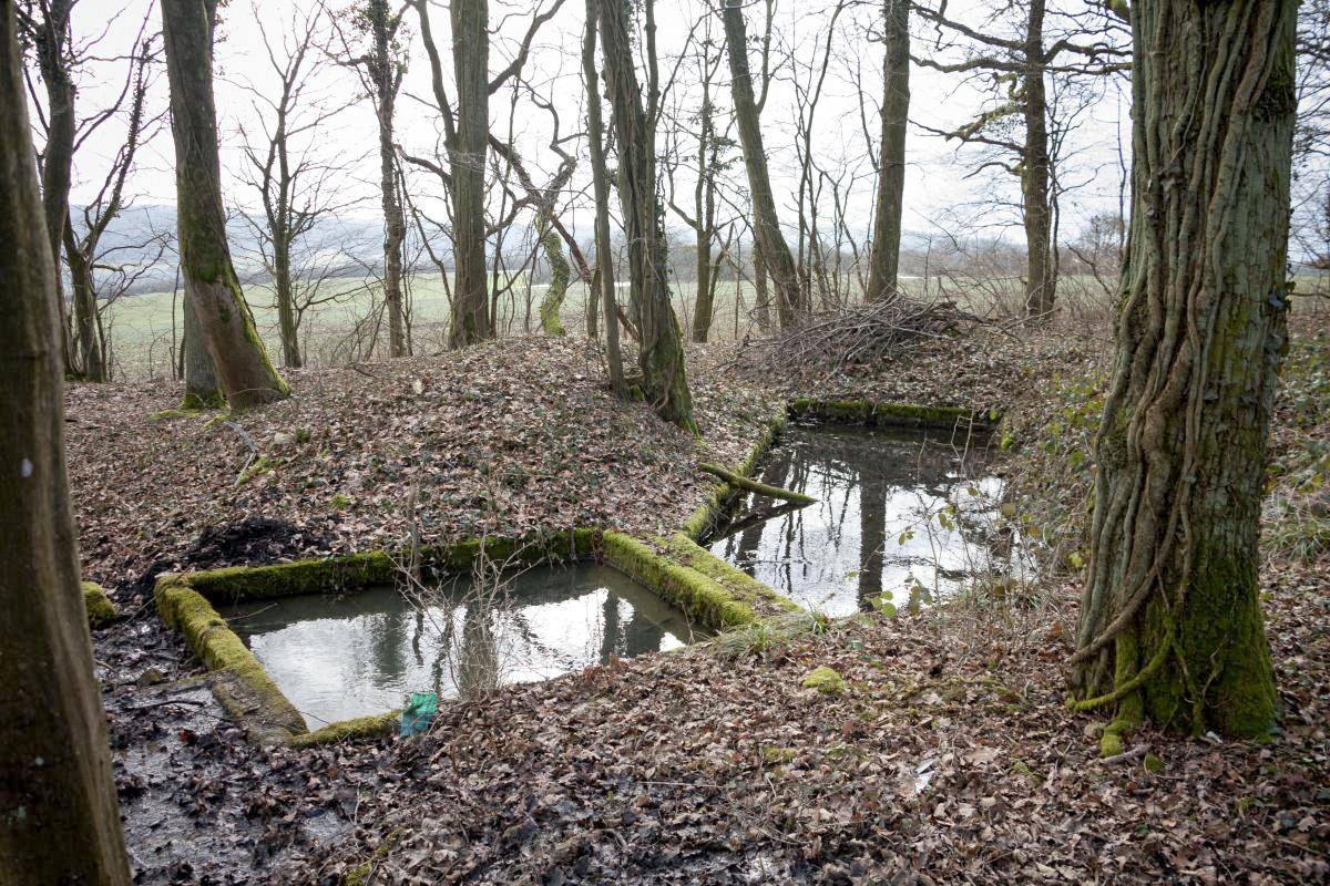 Ligne Maginot - ACA3 - BAMBESCH - (Casemate d'artillerie) - Bassin à proximité immédiate de la casemate